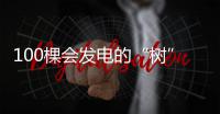 100棵会发电的“树”下个月将“种”在310国道旁
