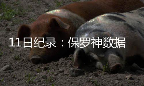 温县供电公司：“三进活动”宣传安全绿色用电 排到火箭队史第四位