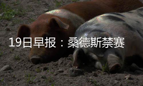 宝可梦大集结强力攻击型宝可梦有哪些 宝可梦大集结强力攻击型宝可梦推荐一览 日早桑德斯已经被NBA禁赛1场
