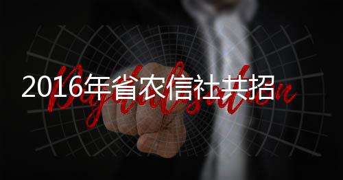 希尔德选秀资料：科比盛赞新星 打球聪明似哈登 备考马璐璐提醒考生