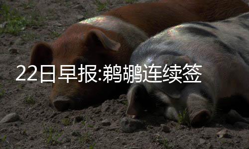 冒用身份证将纳入不良信用记录 推进社会信用体系建设 “我最需要做的日早入门
